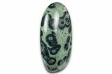 Free-Standing, Polished Kambaba Jasper - Madagascar #343999-1